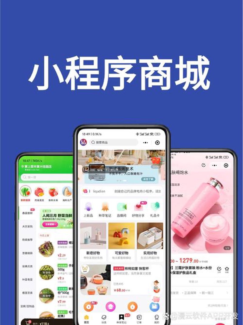 软件定制：企业增长的加速器